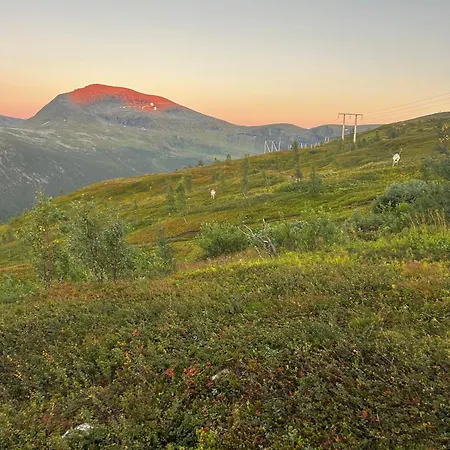 Arctic Panorama